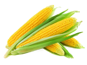 Corn